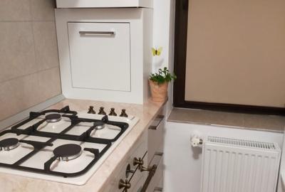 Apartament cu 2 camere decomandat în Bucium - 2