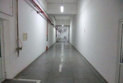 Complex industrial 30130  mp construit - Teren 42558 mp - 19