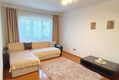 Apartament cu 2 camere decomandat în Crinț - 15