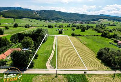 Teren intravilan,2.900mp,recomandat: investitional rezident