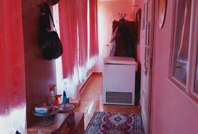 Casa Deta de vanzare. - 5