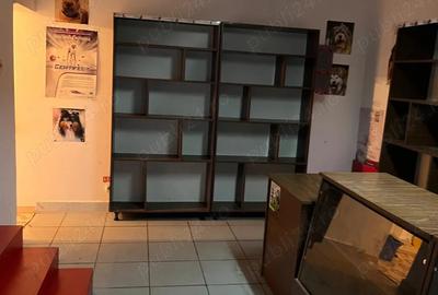 Apartament - spa?iu comercial de inchiriat vanzare - 12