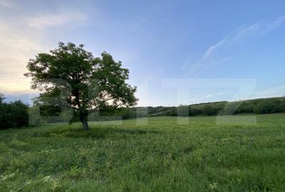 Teren intravilan, 21.450 mp, utilitati, acces autostrada, sa - 6