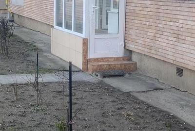 Spațiu comercial, de 55 mp, în Capitol - 7