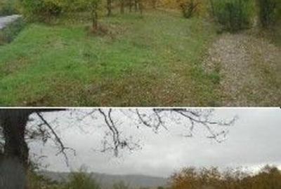 Teren faneata Vizantea Livezi; ID: R2800475 - 5