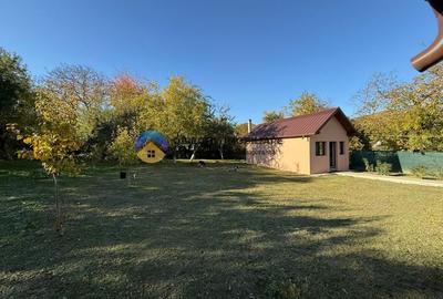 Casa + teren de vanzare - Almas - 16