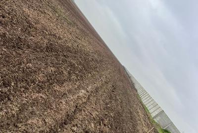 Spațiu comercial, în Berceni - 5