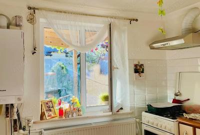 Casă cu 3 camere cu Teren 300 Mp în Ultracentral - 18