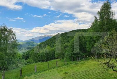 Casa de vacan?a, pretabila pentru pensiune in Moieciu - 3