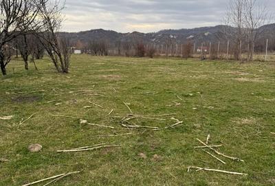 Spațiu comercial, în Brebu - 9