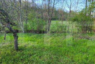 Teren de 6659 mp, în Nisipoasa - 13