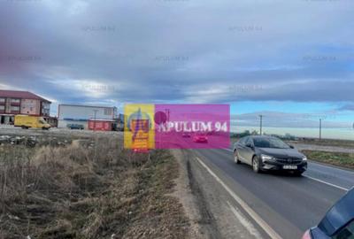 Teren Mihailesti- langa Dovinot. - 7