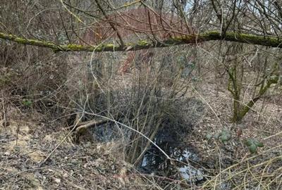 Teren în Central - 7