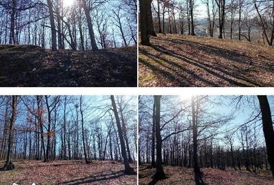 Teren de 140670 mp, în Lapoș - 5