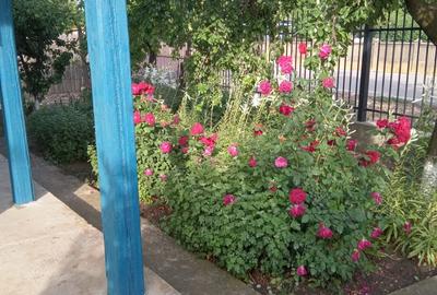 Vand casa comuna Baneasa, Giurgiu - 4