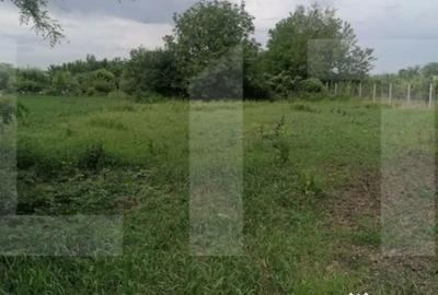 Casă cu 3 camere cu Teren 1724 Mp în Brăești - 2