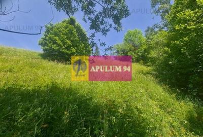 Teren de vânzare în Bușteni - Zona Zamora - 3