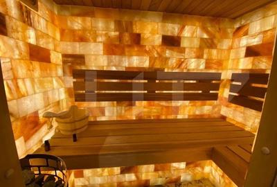 Ocazie! Penthouse, sauna si jacuzzi, zona Gradina Botanica - 8
