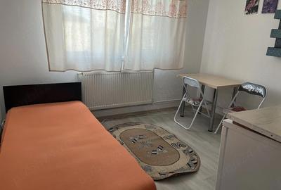 Garsonieră nedecomandată în Frumoasa - 2