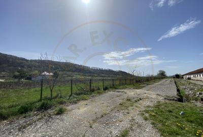 Teren intravilan cu grajduri si anexe Aninoasa AG - 4