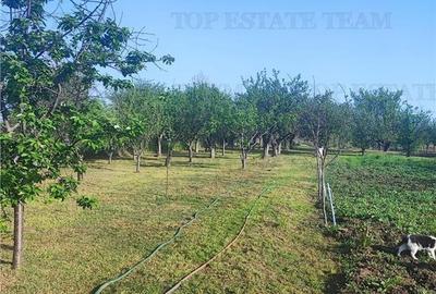 Vila individuala cuplata 6 camere S+P+M, cu incalzire pe centrala, toate utilita - 4