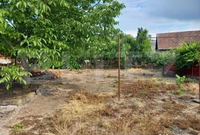 Casă cu 1 camere cu Teren 800 Mp în Unirii - 4