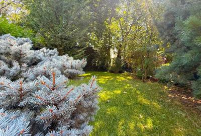 Vila P+E+Pod Baneasa - Liceul Francez - 2