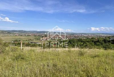 TEREN INTRAVILAN 972 MP, ALBA MICESTI - 2