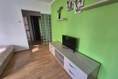 Garsonieră decomandată, mobilată în Doamna Ghica - 5