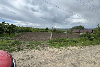 Spațiu comercial, în Covasna - 4