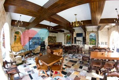 Exclusivitate ?i Istorie - Castelul Printul Vanator din Turda - 16