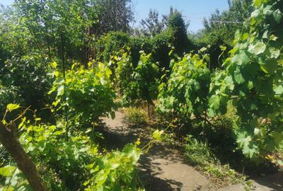 Casă cu 4 camere în Stănești - 13