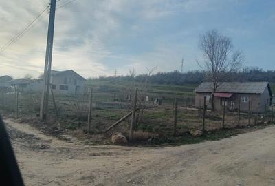 Spațiu comercial, în Peștera - 1