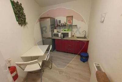 Apartament cu 4 camere decomandat în Ultracentral - 4
