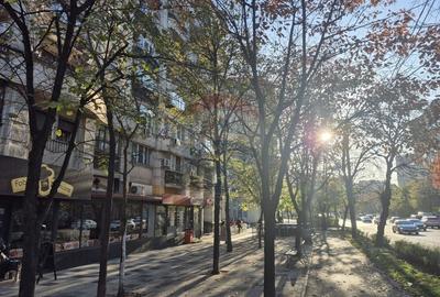 Apartament deosebit de 4 camere zona Decebal - Piata Alba Iulia - 16