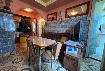 Apartament cu 2 camere semidecomandat în Gojdu - 3