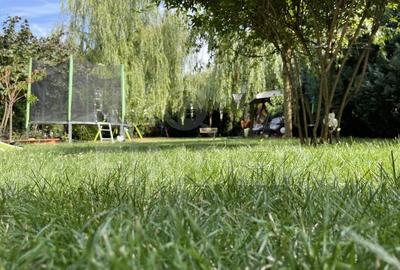 Vanzare casa individuala in Andrei Muresanu, teren 912 mp - 6