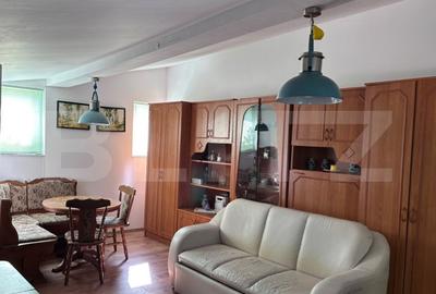 Cabana de vanzare cu teren generos in Belis - 4