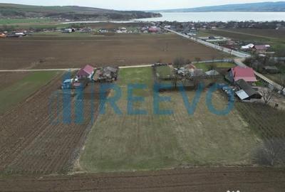 Teren de 4000 mp, în Bazga - 6