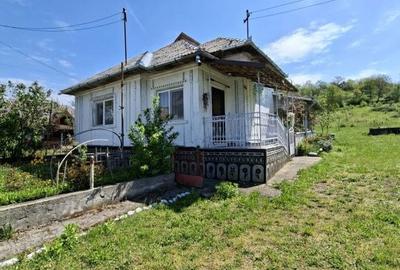Casă cu 2 camere cu Teren 2000 Mp în Coaș