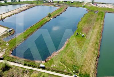 Teren Extravilan cu lac - Investitie in Natura si Agrement | 35.251 mp - 2
