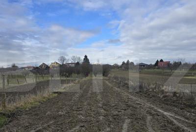 Teren de 1996 mp, în Viile Satu Mare - 2