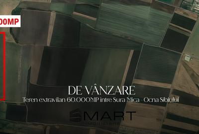 Teren Construcții extravilan de 60000 mp, în Șura Mică - 1