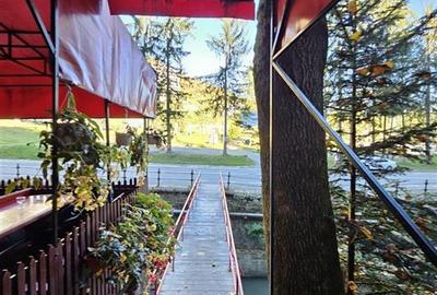 PENSIUNE 2 MARGARETE  DE VANZARE in STATIUNEA MONTANA SLANIC MOLDOVA - 3