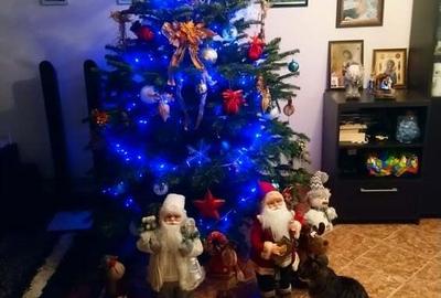 Casă cu 4 camere în Ghermănești - 6