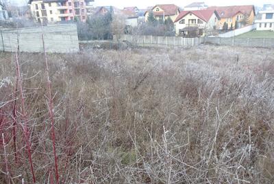 2 parcele de teren in Zavoi, str. Brandusei, 1440 mp, asfalt - 1