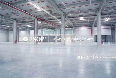 Spatii activitati industriale in Logicor Mogosoaia, 2.000 - 38.000mp - 2
