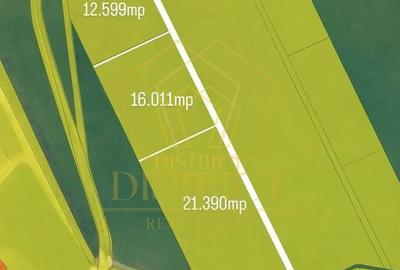 Teren intravilan 50.000mp | Sacalaz | Teren intravilan 50.000mp | Sacalaz | - 1