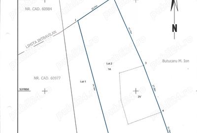 Casă cu Teren 3384 Mp în Bârsănești - 6