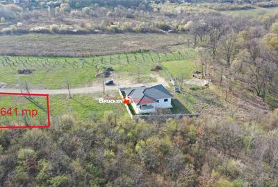 TEREN DE CASA LANGA PADURE | ORADEA - 3